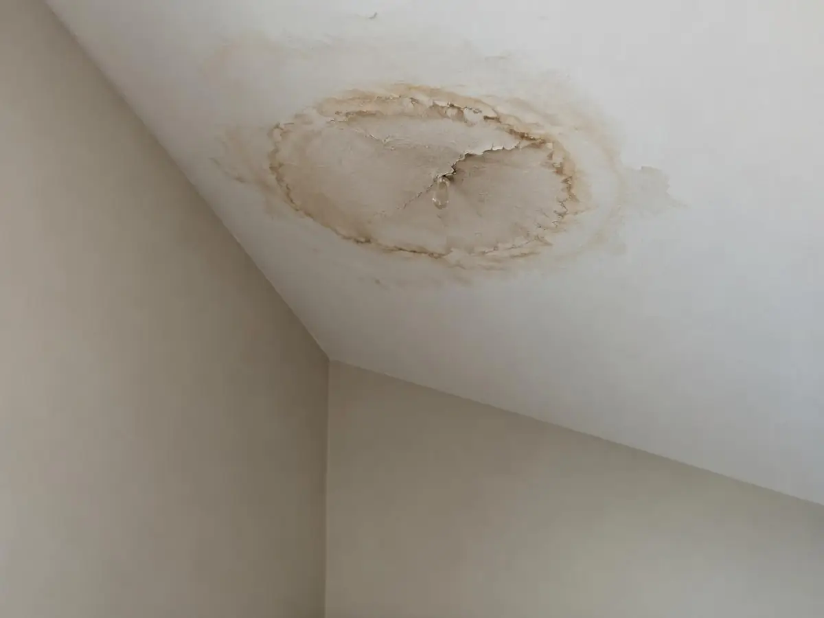Tache d’eau auréolée et craquelée au plafond en pente d’une chambre sous les toits