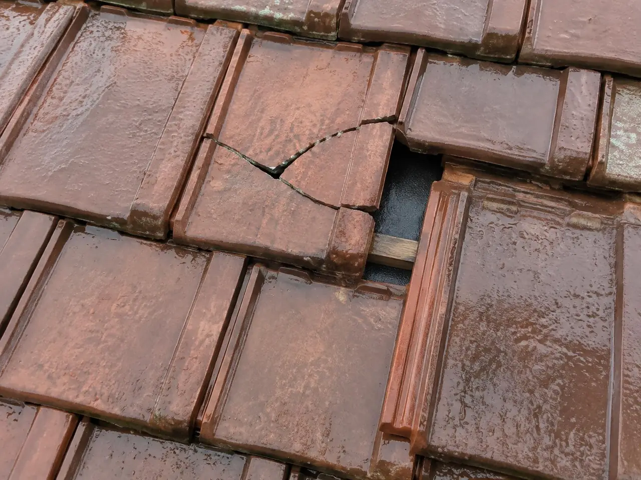 Tuiles mouillées après la pluie : une tuile fendue et sa voisine glissée, qui laisse voir l’écran et le liteau