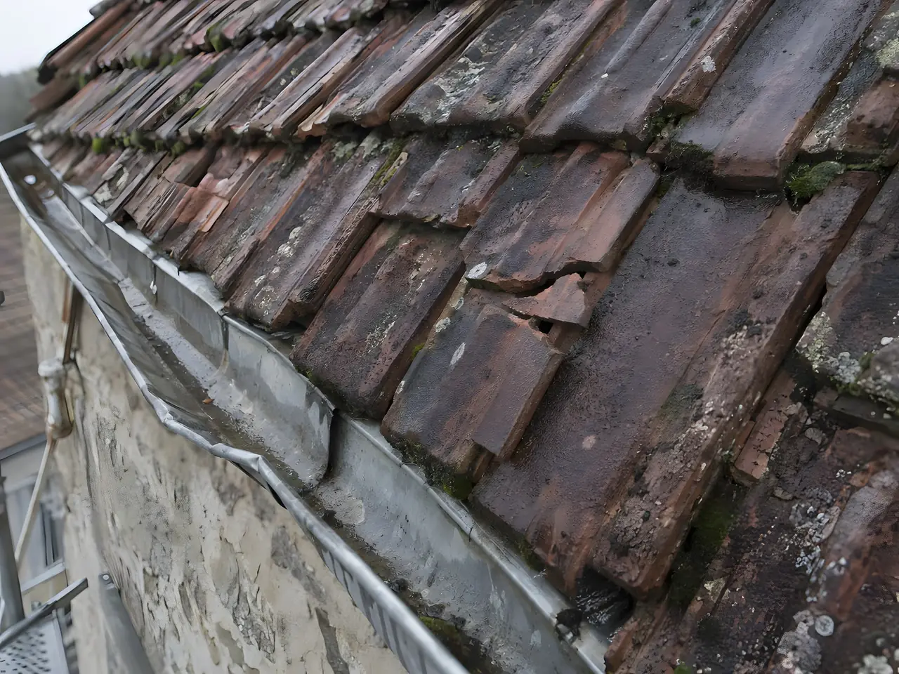 Vieux toit de tuiles moussues, une tuile fendue et déboîtée au-dessus d’une gouttière en zinc